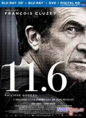 11.6 (2013)